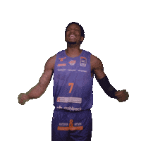 Bulls Kapfenberg Sticker by Basketball Superliga