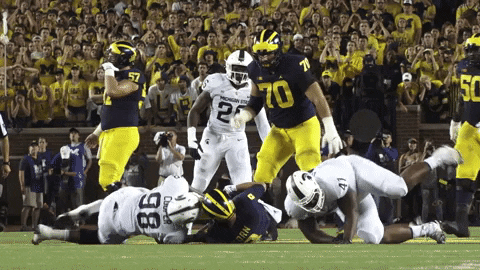 College Football Yes GIF by Michigan State Football