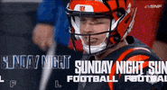 National Football League GIF by NFL