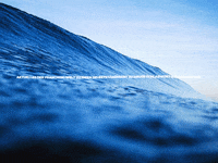 GIF by FranchiseONE.de