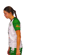 Quintushandball handball eredivisie presentation handbal Sticker