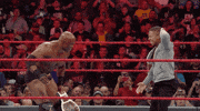 We Did It Reaction GIF by WWE