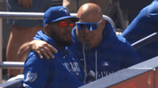 Blue Jays Hug GIF by Toronto Blue Jays