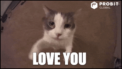 I Love You Kiss GIF by ProBit Global