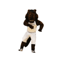 Santa Clara University Bucky Sticker by Santa Clara Broncos