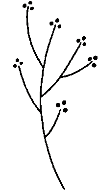 Flower Sticker by Daniela Nachtigall