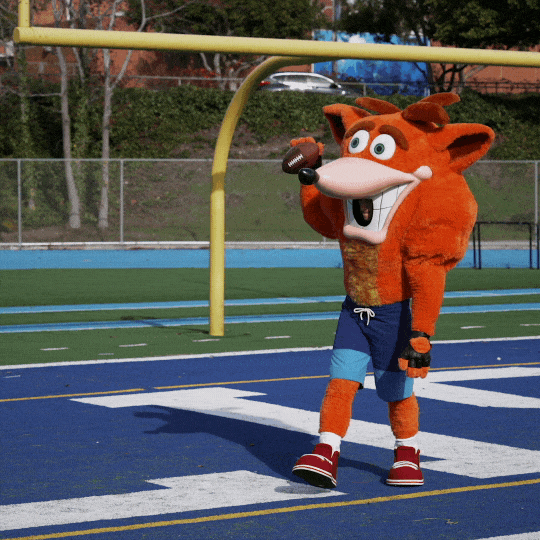 Touchdown Mascot GIF by Crash Bandicoot
