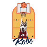 lulu_lukka dog basketball doggo husky Sticker