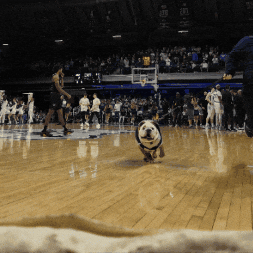 Happy Butler Basketball GIF by Butler University