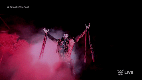 chiffondior giphyupload GIF