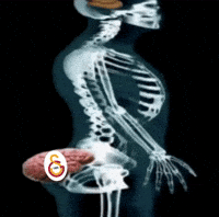 Galatasaray GIF
