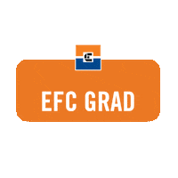 Celebration Graduation Sticker by elcentrocollege