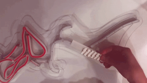 neontrip giphyupload GIF