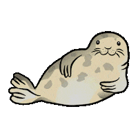 Doodle Strand Sticker by startgmbh