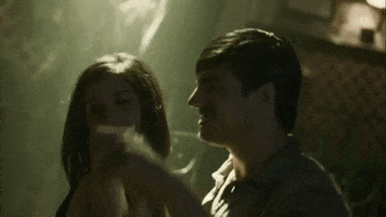 fiesta GIF