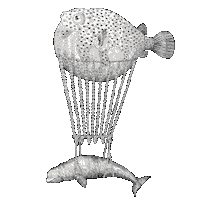 Aquatic Creatures Art Sticker by Aquatic Creatures by Riccardo Capuzzo