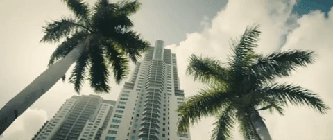 palm trees miami GIF by Ultra Music Festival