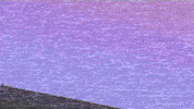 Bad Luck Lyrics GIF by Houses