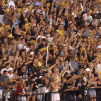 Celebrate Vanderbilt Football GIF by Vanderbilt Athletics