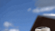 Beer Cheers GIF by Bayerische Staatsbrauerei Weihenstephan