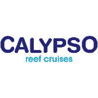 Great Barrier Reef Bubbles Sticker by Experience Co