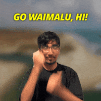 Honolulu GIF