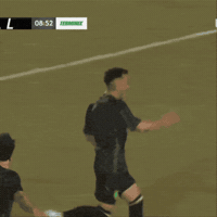 Celebration Goal GIF by Lexington Sporting Club