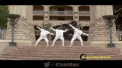 akshay kumar bollywood GIF by bypriyashah