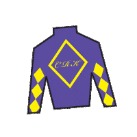 Sport Silk Sticker by Kentucky Derby