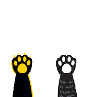 asafontana wolf wolves asa allegiance steam academy Sticker