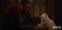 Amy Adams Cat GIF by NETFLIX
