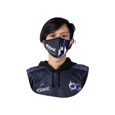 Mask Gamer Sticker by Todak Official
