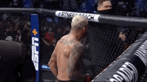 Charles Oliveira Sport GIF by UFC