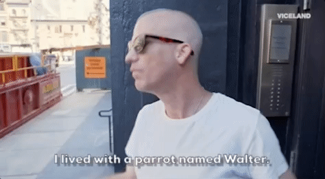 viceland GIF by Epicly Later'd