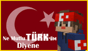 Flag Turkey GIF