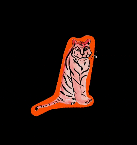 Tiger GIF by Seaesta Surf