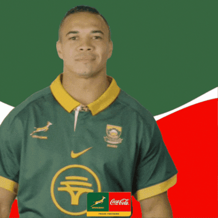 Springboks Bokke GIF by The Coca-Cola Company Africa