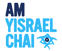 Jerusalem Taglit Sticker by Birthright Israel