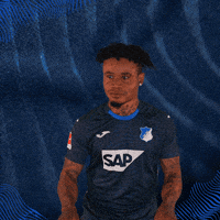 Sport Bundesliga GIF by TSG Hoffenheim