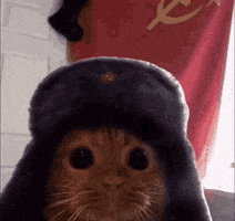 Comunista GIF
