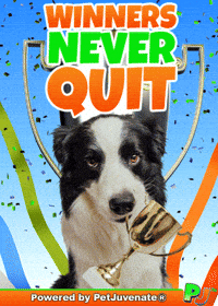 PetJuvenate petjuvenate henlo hooman fren love rescue dogs treatos and woofer for pupper GIF