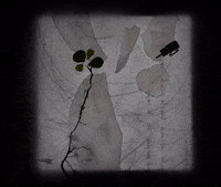 oskar_combita animation stopmotion glas2022 GIF