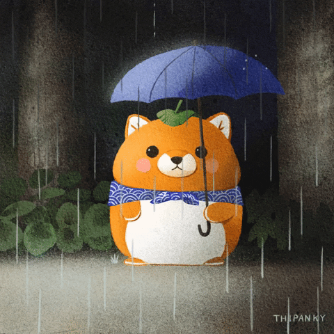 thipanky giphyupload dog rain umbrella GIF