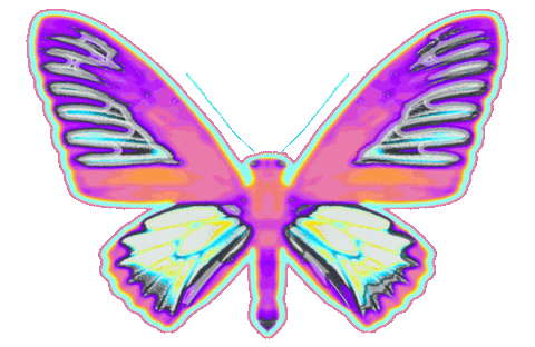 Pink Flying Sticker