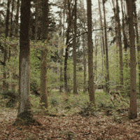 Starosti GIF by Kooperativa