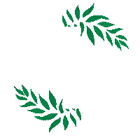 Plant Leaf Sticker