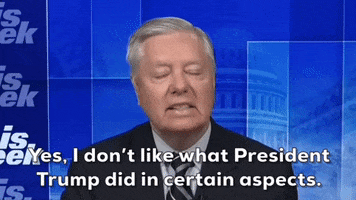 Donald Trump GIF by GIPHY News