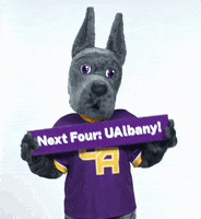 Grad GIF by UAlbany