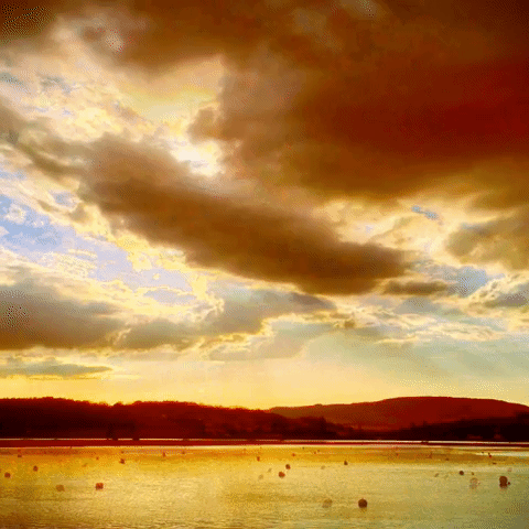 river exe sunset GIF