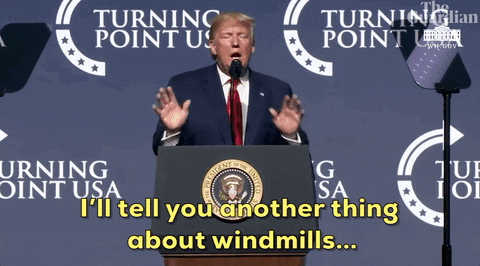 Donald Trump Windmill GIF